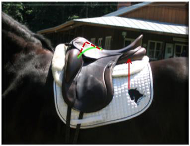 Saddle Fitting for Smarties | More About Saddle Trees