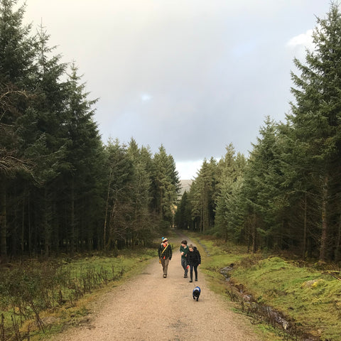 Dartmoor family walk with the pug through the pines to inspire creativity 