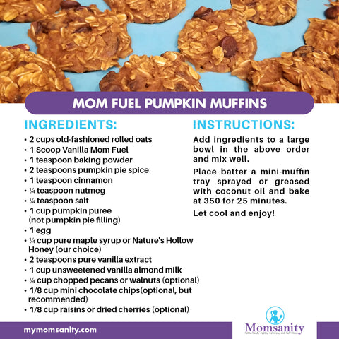 healthy pumpkin muffins recipe made with Mom Fuel protein powder