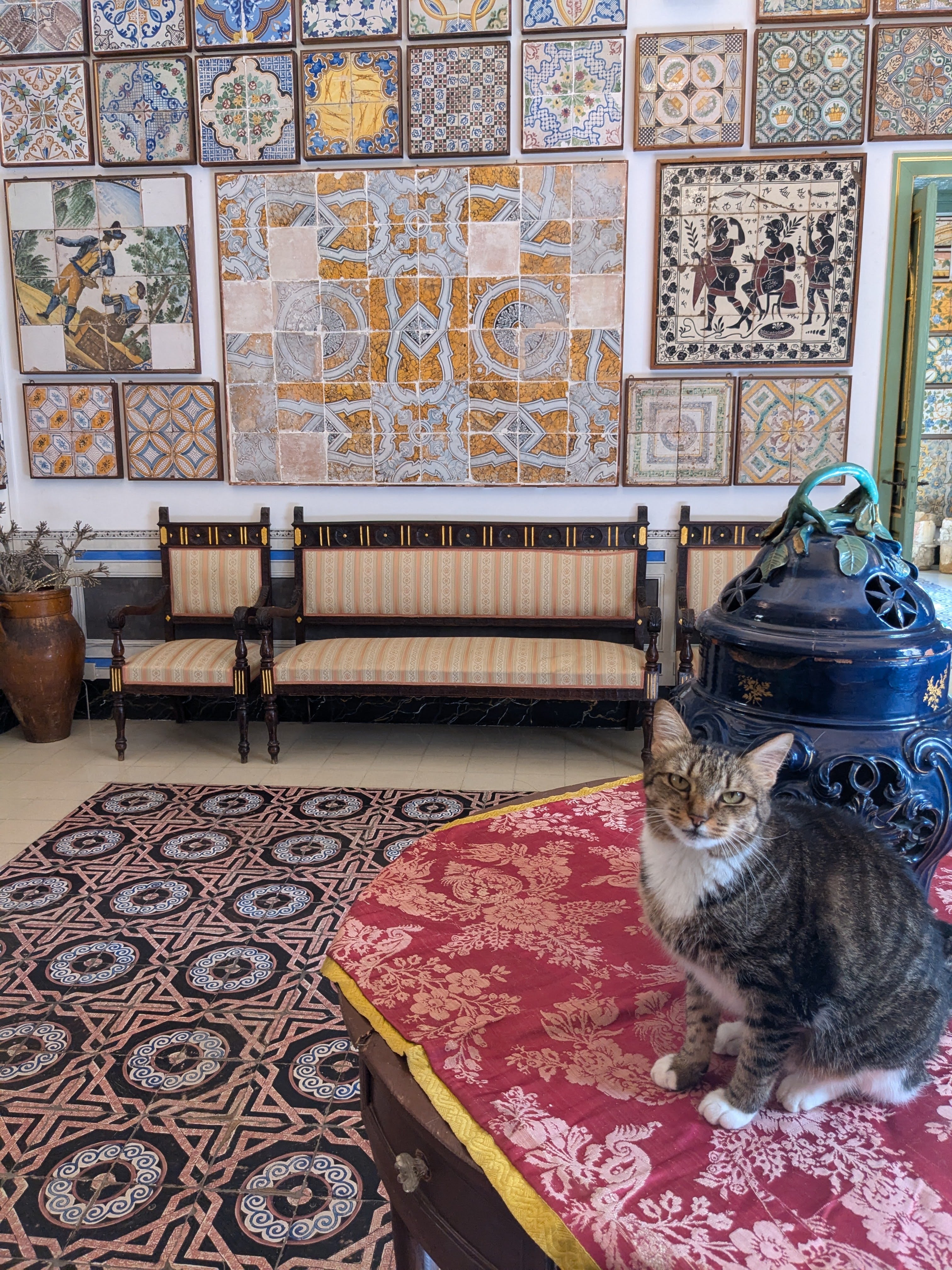 A tabby cat sits on a red tablecloth in a colorful room adorned with intricate tiles and traditional furniture.