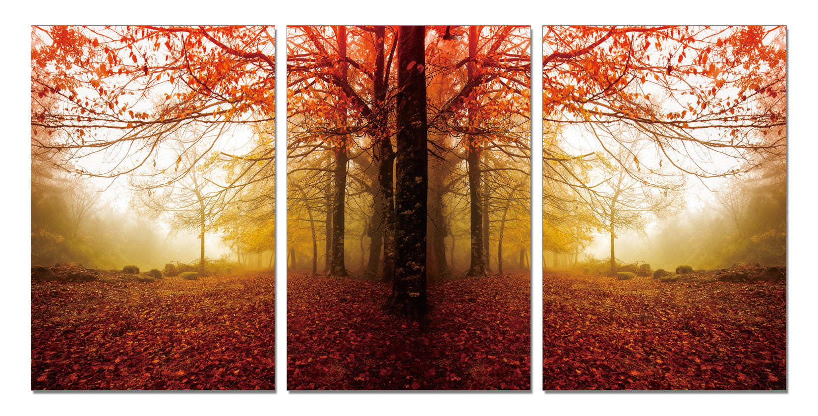 Fall wall art | Modern wall art | Commercial wall art | Residential ...