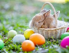 Easter Rabbit in an Easter basket with colored eggs