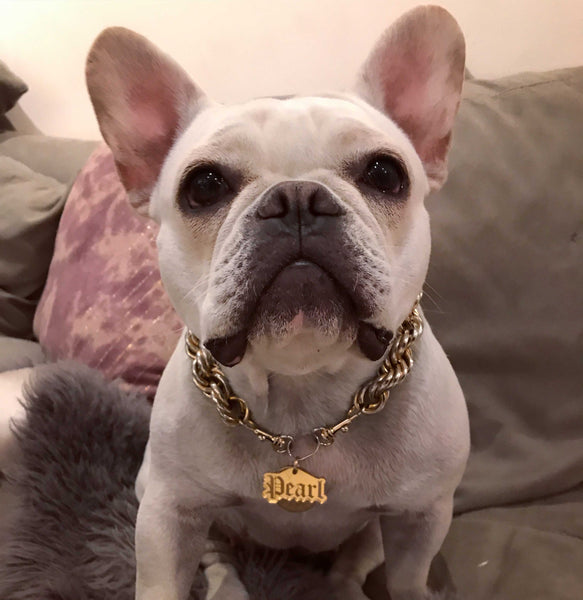 french bulldog gold necklace
