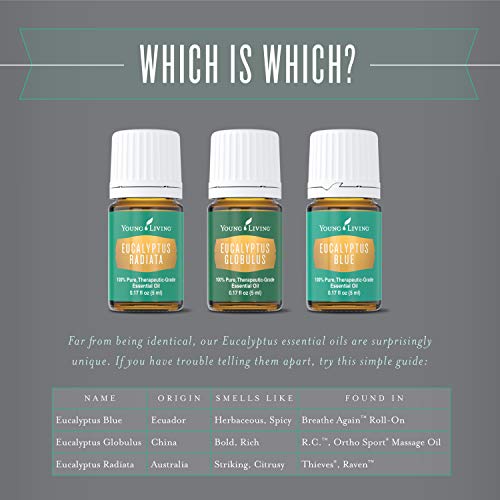 Eucalyptus Globulus Essential Oil by Young Living