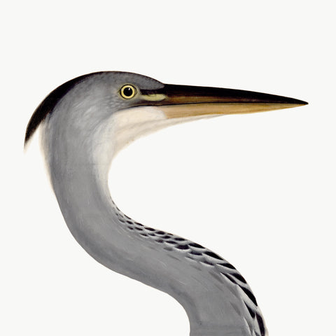 Rudbeck Plate 3 Heron by Dera Design