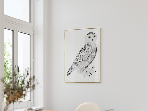 Rudbeck Snowy Owl in a modern white kitchen