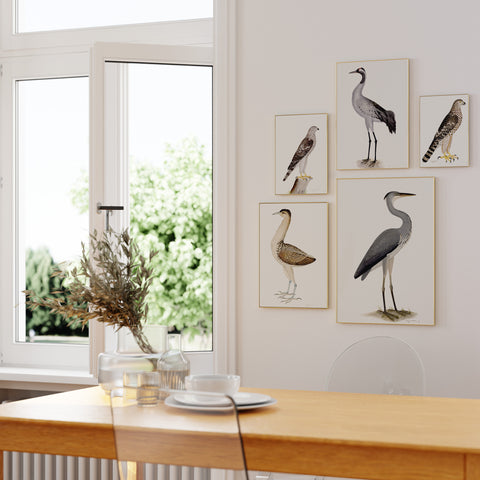 5 Rudbeck bird prints on a gallery wall