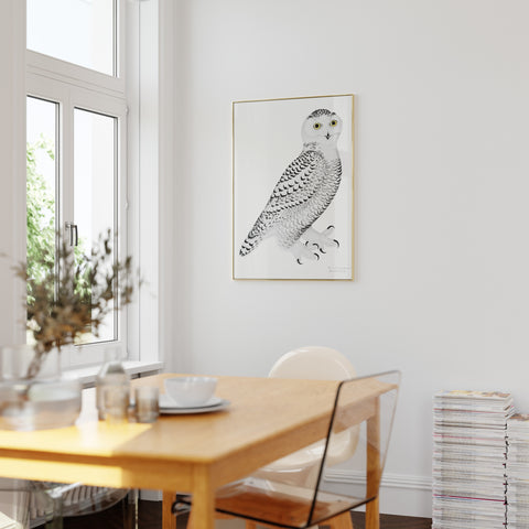 Rudbeck Snowy Owl art print
