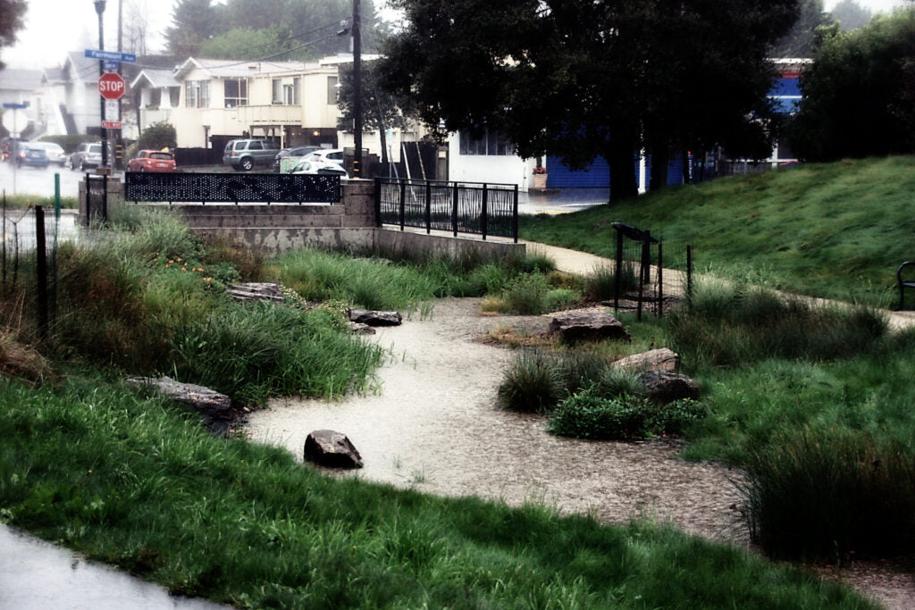 a bioswale near San Francisco