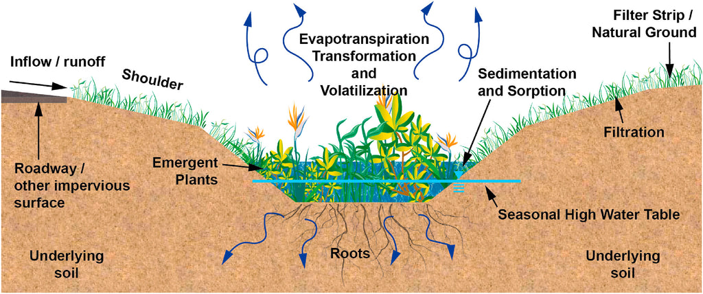 bioswale diagram