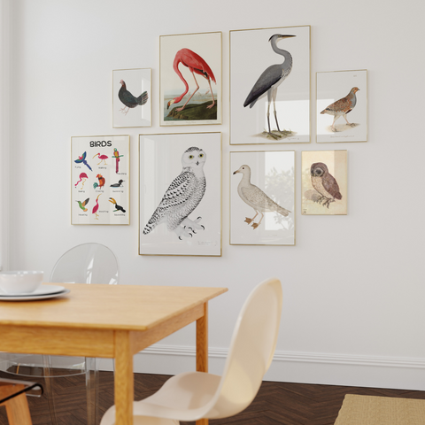 Gallery wall featuring birds