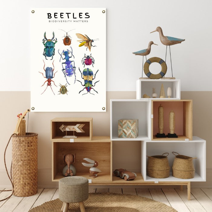 Beetle poster in a toddler's playroom