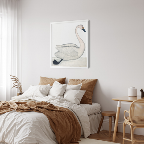 Rudbeck swan art print in a bedroom