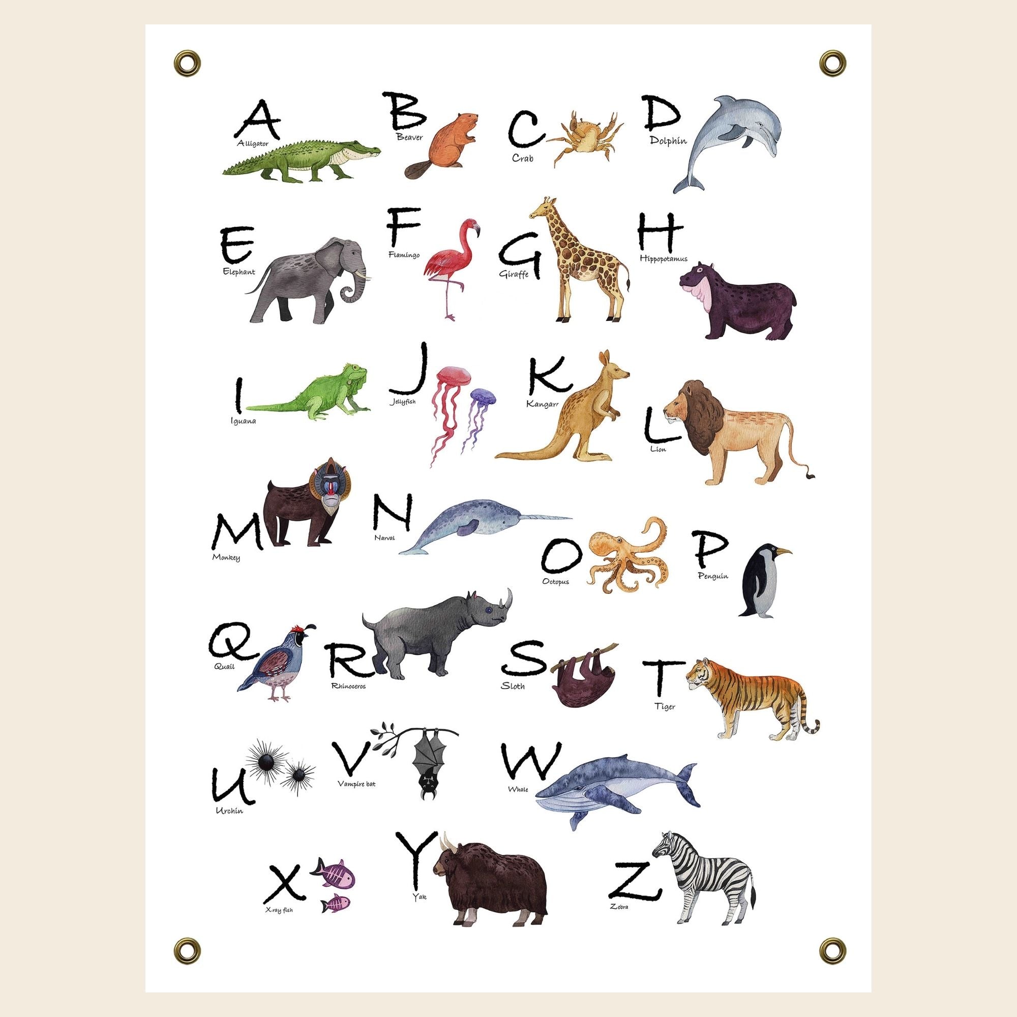 Top 198 + Animal alphabet poster - Lestwinsonline.com