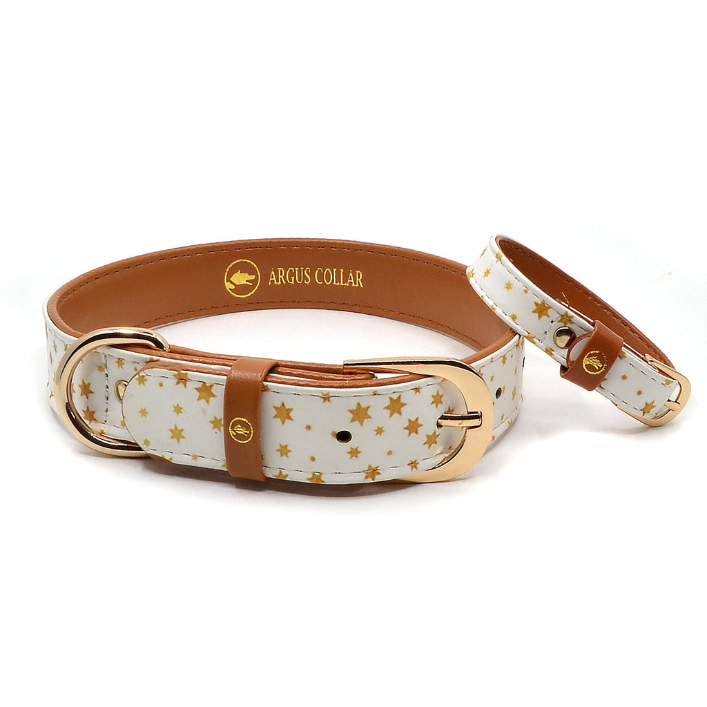 Brown Leather Dog Collar and Leash - SUPERSTAR - Puppy Panache