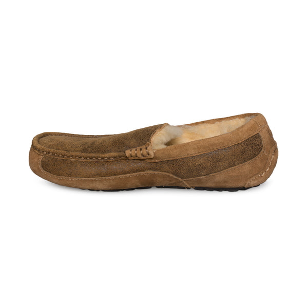 ugg ascot bomber slipper