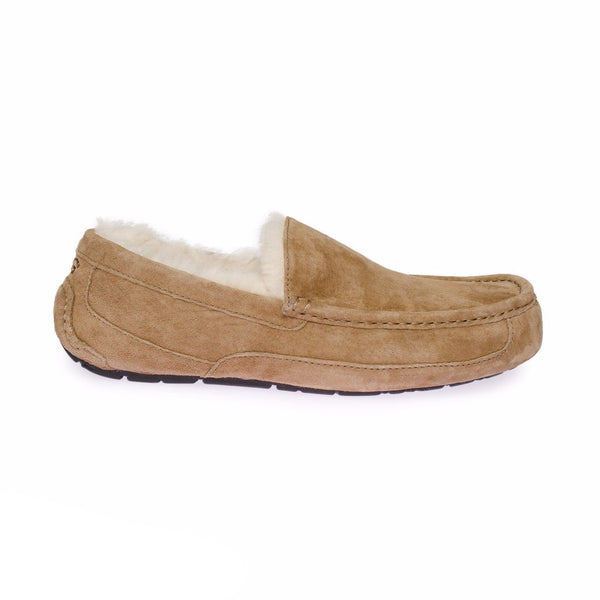 UGG Ascot Chestnut Slippers - MyCozyBoots