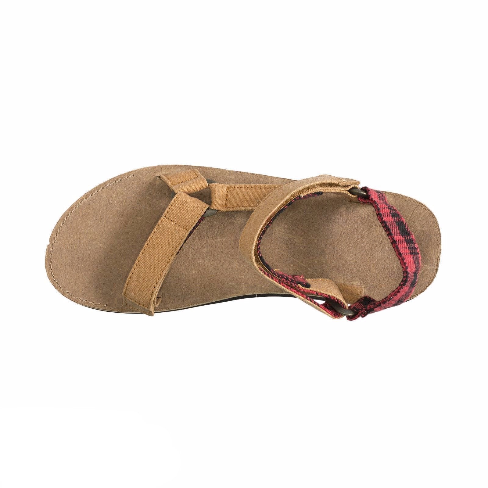 brown teva