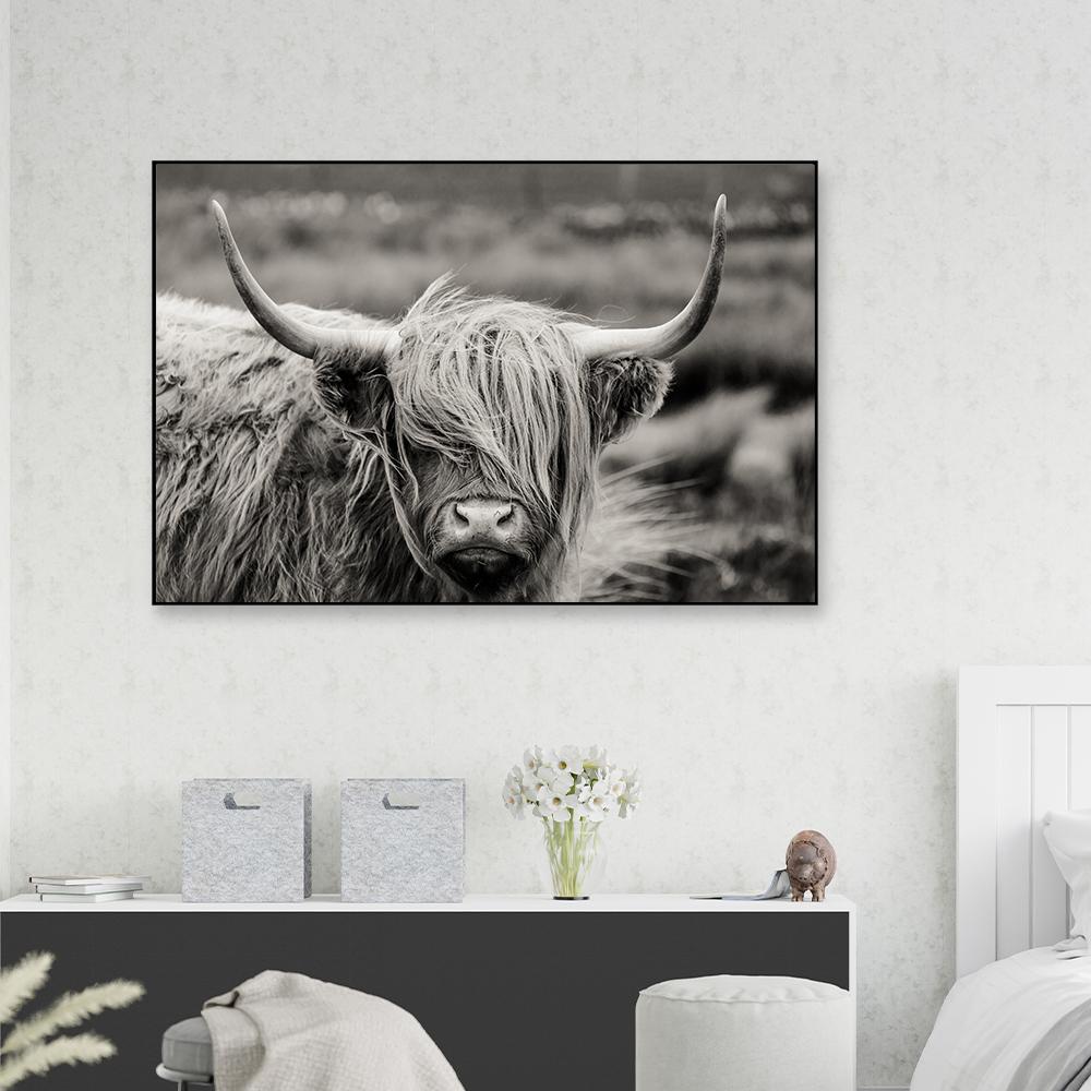 cow framed wall canvas