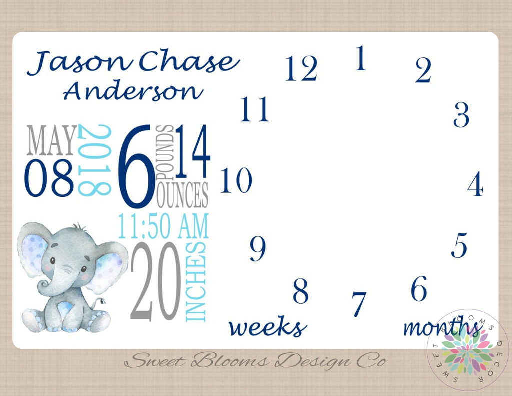 personalized baby boy milestone blanket