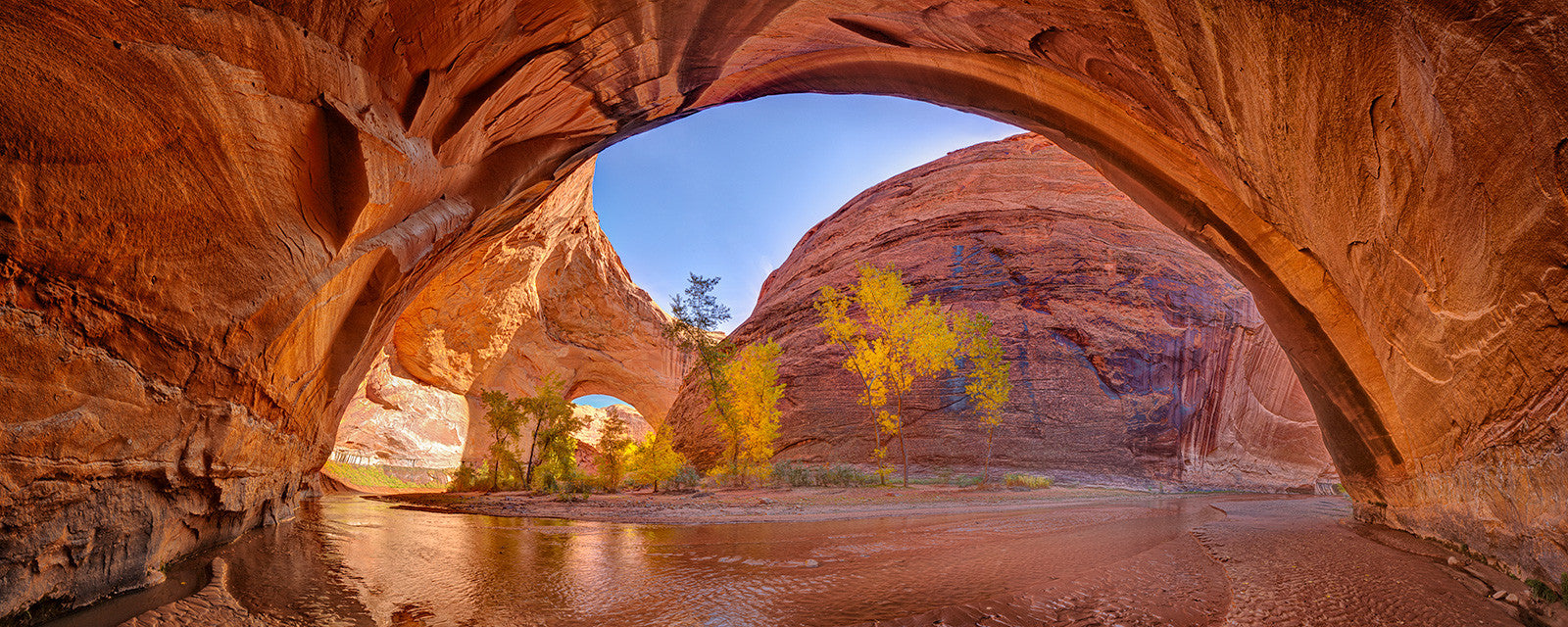 Coyote Gulch - Alchetron, The Free Social Encyclopedia