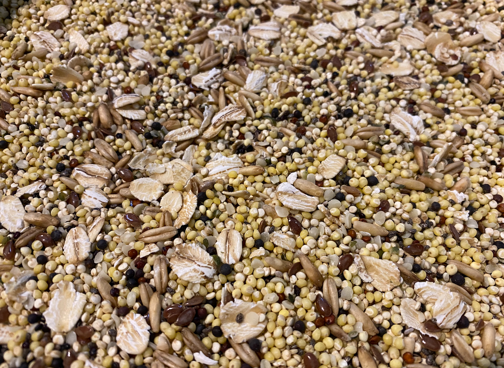 seed mix for budgies