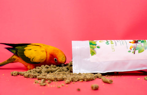 BirdTricks Organic Parrot Pellets