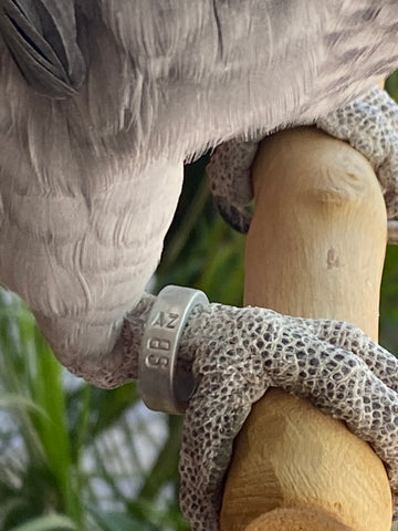 PFCKF Open Bird Ring Bird Band Bird Foot Ring Bird Leg Bands Rings for Birds  Tags Aluminum Alloy Split Ring Mixed Color for Parrots Hibiscus Bird  Finches Etc 50Pcs : Buy Online