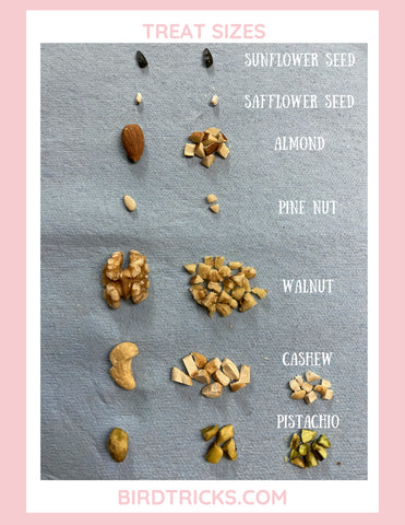can dogs eat safflower seeds