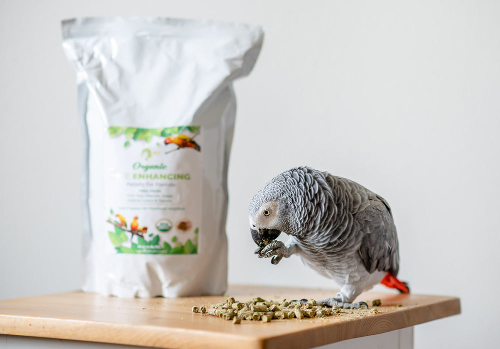 organic parrot seed