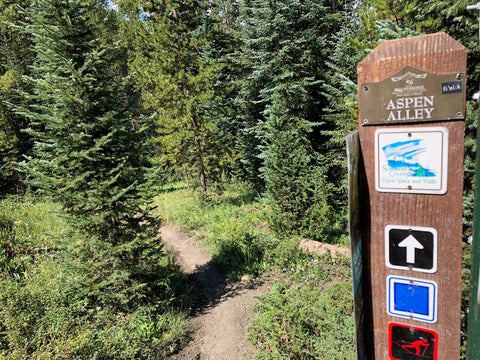 Aspen Alley Trail Breckenridge