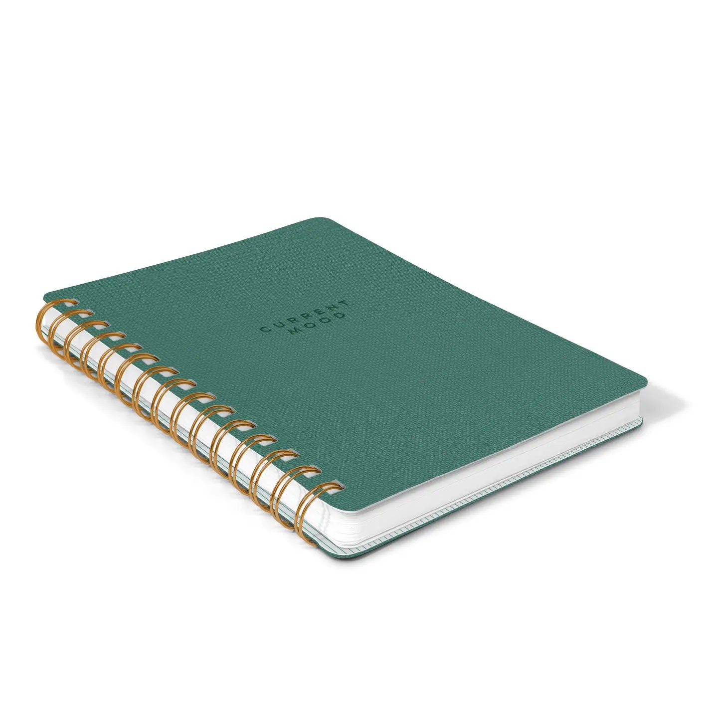 Current Mood Notebook