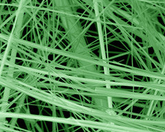 Nanowire