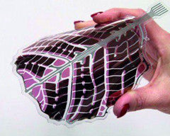 Organic Solar Cells 