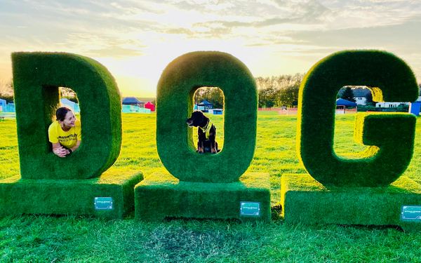 North east dog festival - My anxious dog founder Sarah and her anxious dog bella peering through big grass letter spelling DOG.