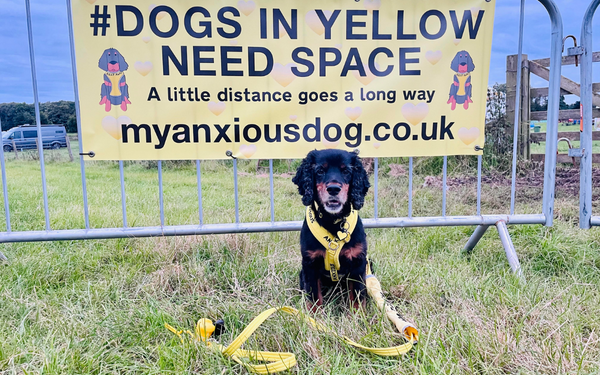 Bella at north east dog festival in front of campaign banner saying dogs in yellow need space