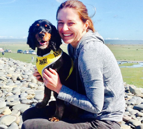 dog wearing yellow nervous dog harness at the beach