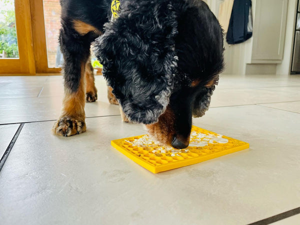 dog eating from slow feeding enrichment mat