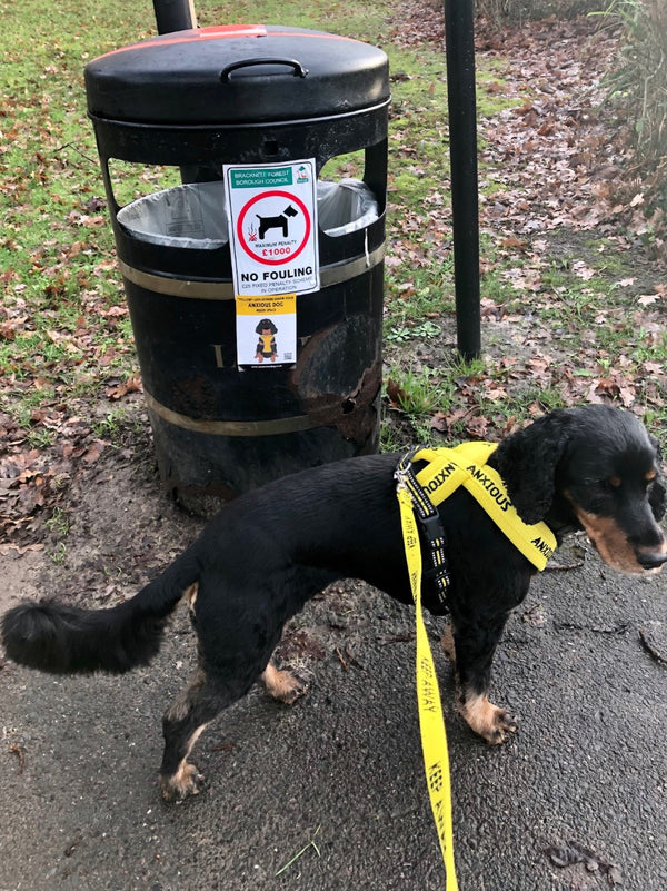 how do i stop my dog from going in the bin