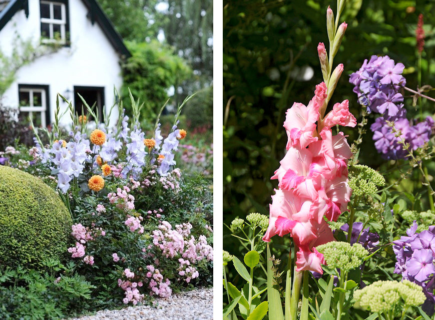 12 Best Plants To Create A Cottage Garden Look Farmer Gracy S Blog