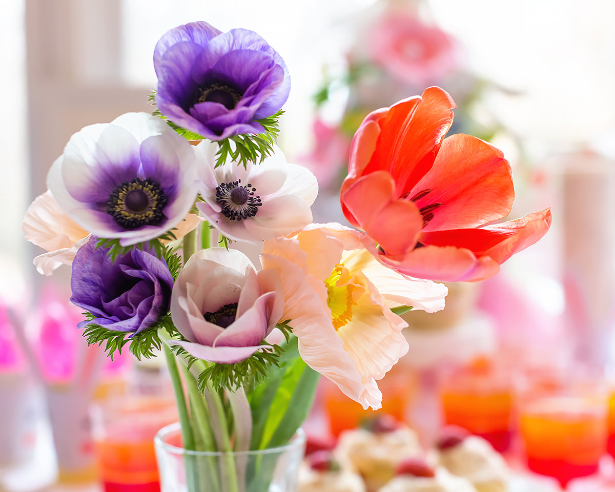 Home grown cut flowers