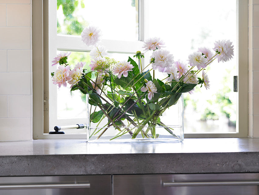 Dahlias in a vase