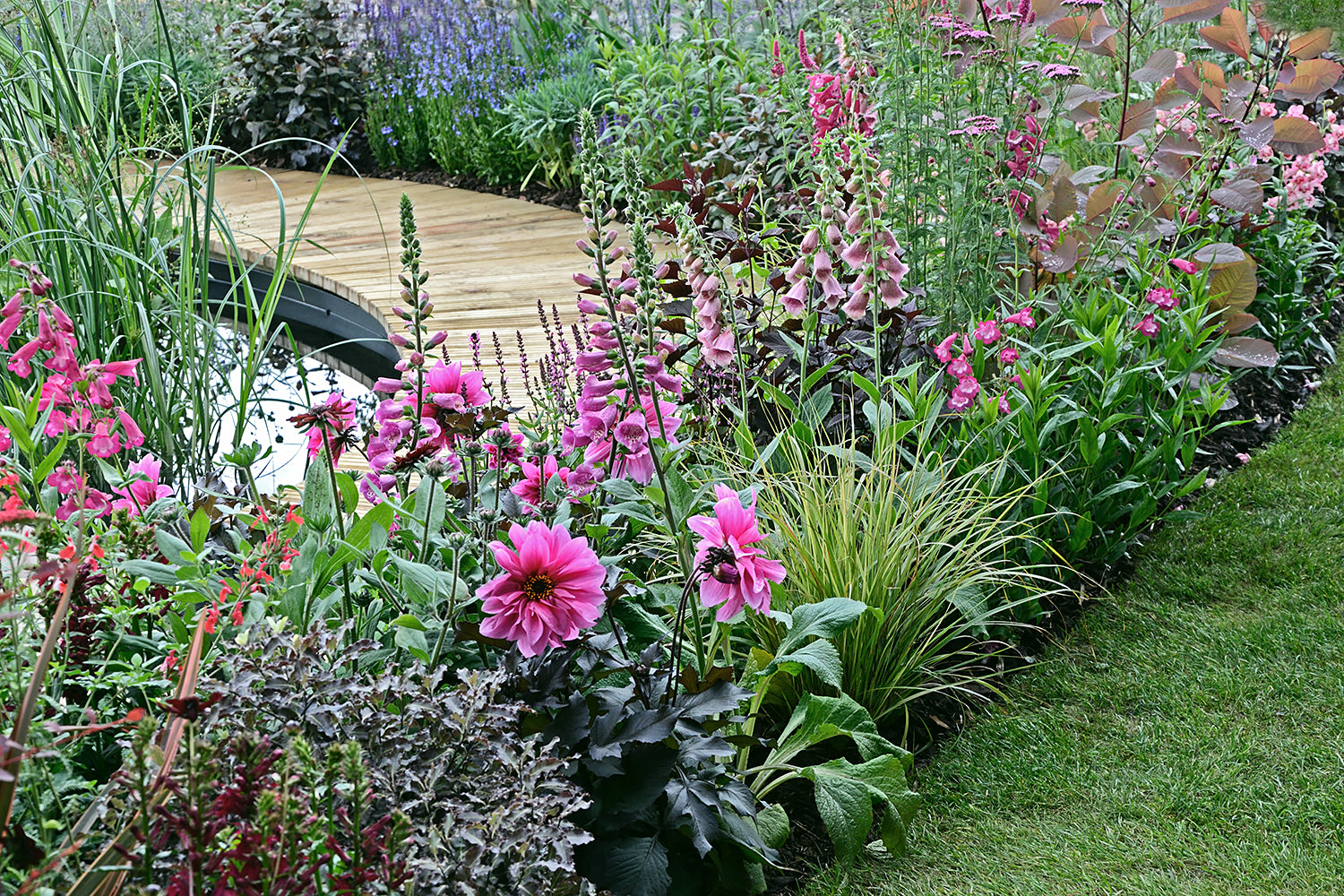 Year-round colour & interest garden