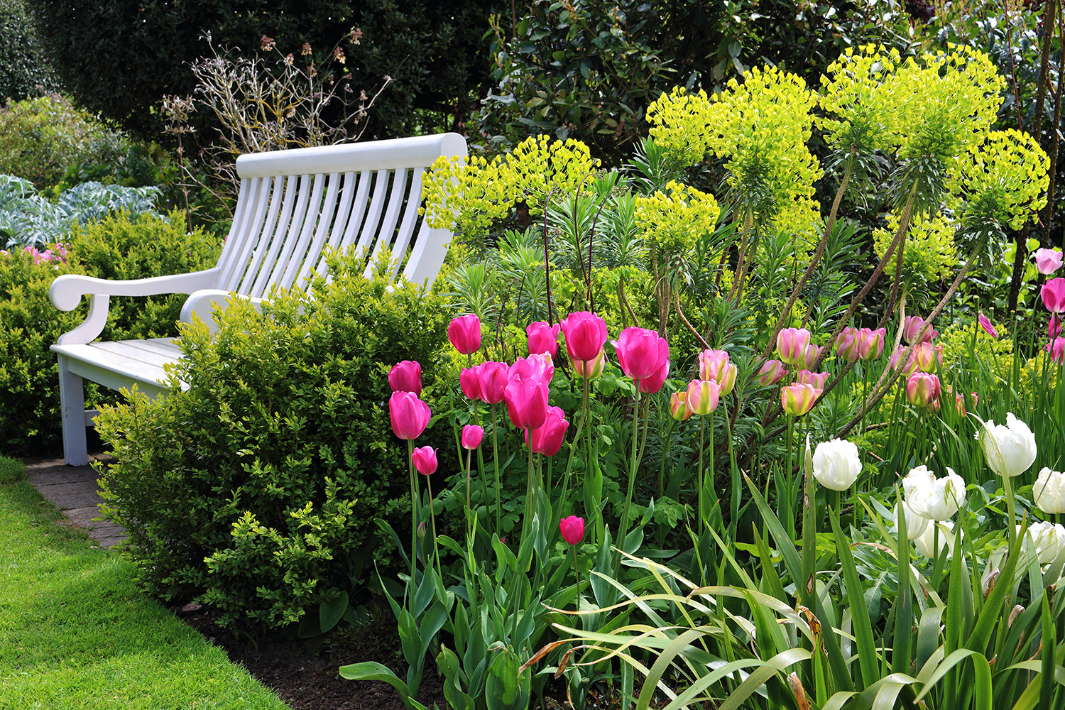 Year-round colour & interest garden