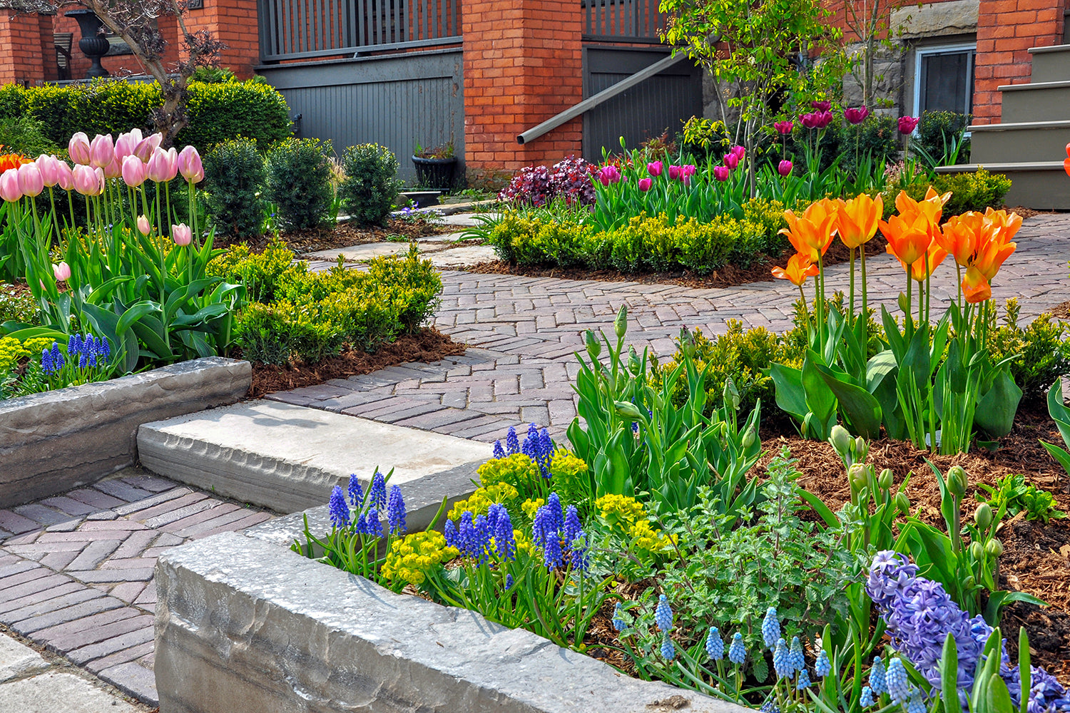 March garden