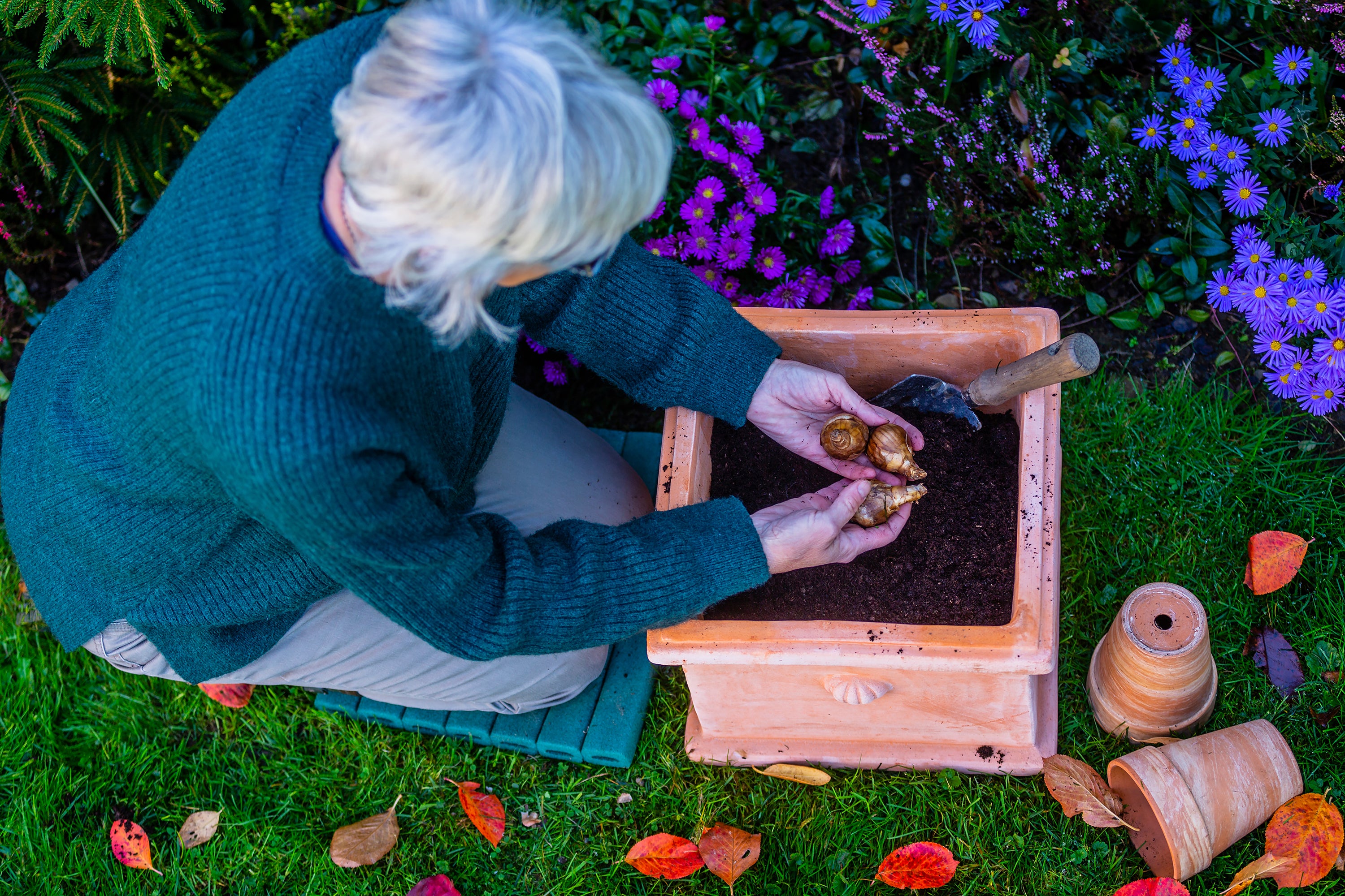 Planting bulbs in a pot. Which size do I need?