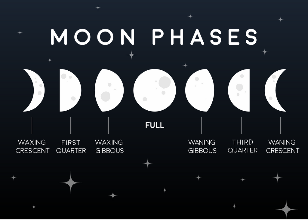 all of the moon's phases