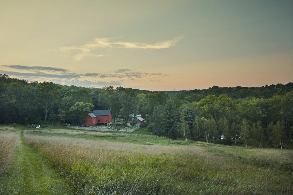 New York Nature Photography