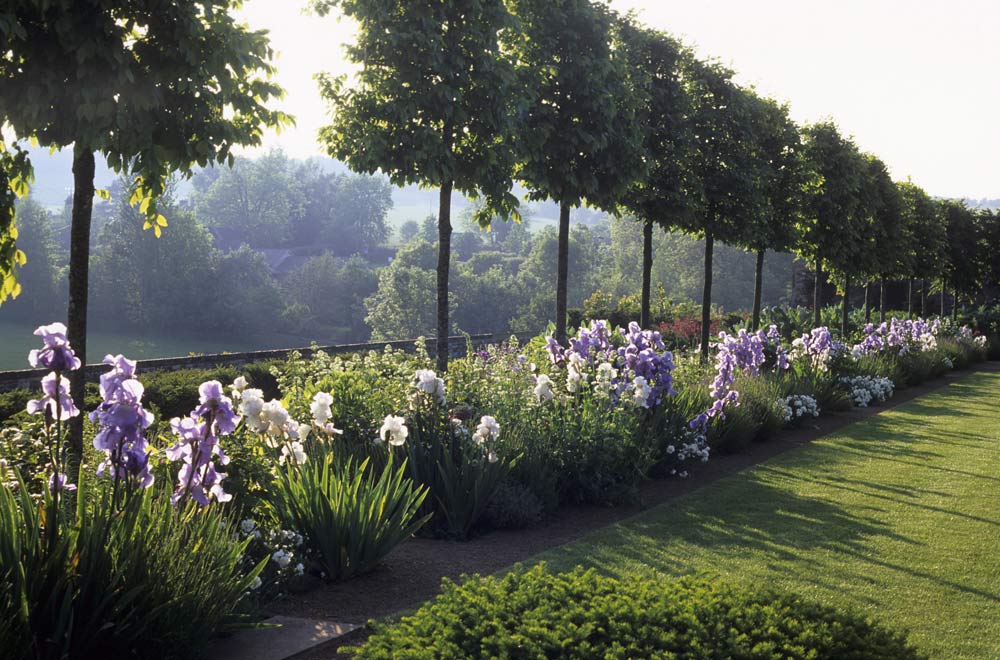 Jinny Blom English Garden with Irises