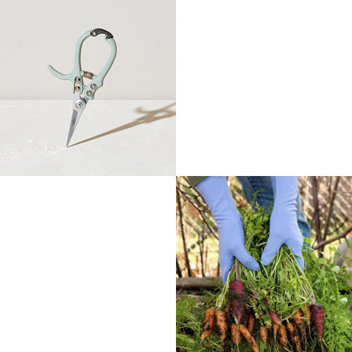 Modern Sprout Garden Clippers and Gardening Foxgloves Gloves